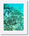 02-UnionIsland - 21